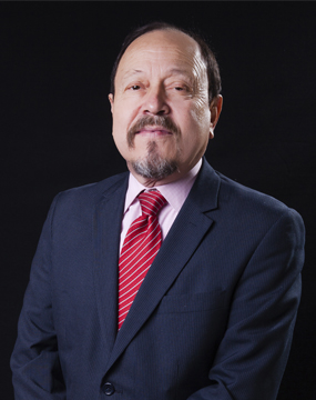 Enrique Roldán Medina